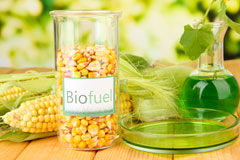 Bussex biofuel availability